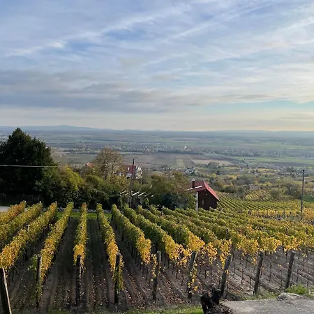 Fenn A Hegyen Vendeghaz Somlo Somlovasarhely