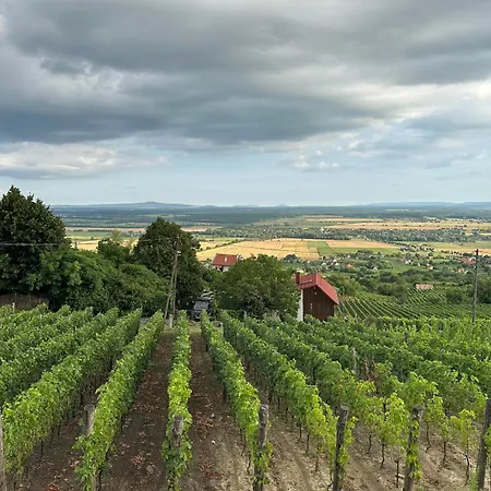 펜션 Fenn A Hegyen Vendeghaz Somlo *