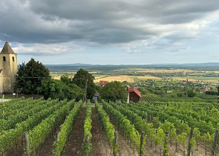 펜션 Fenn A Hegyen Vendeghaz Somlo *