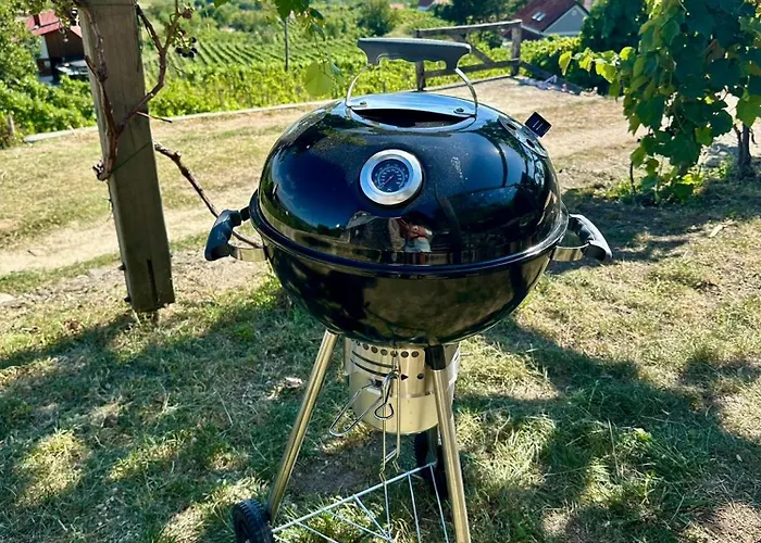 펜션 Fenn A Hegyen Vendeghaz Somlo *