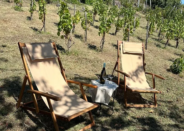 Fenn A Hegyen Vendeghaz Somlo 펜션 Somlovasarhely